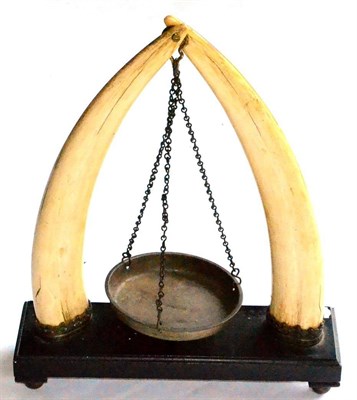 Lot 335 - A Pair of Mounted Walrus Tusks, circa 1880, supporting three chains and a brass scale pan, the...