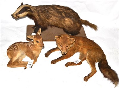 Lot 353 - Roe Deer (Capreolus capreolus), modern, fawn full mount, 23cm long; Recumbent Fox, full mount;...