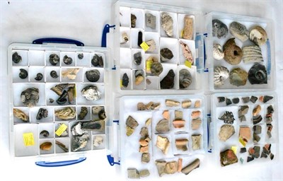 Lot 389 - Fossils, Minerals, Ancient Flints and Metal-Detector Finds: in twelve small lidded plastic...