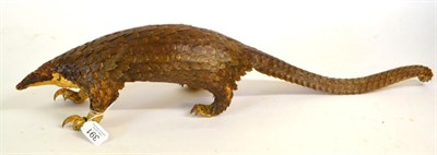 Lot 391 - Tree Pangolin (Manis tricuspis), circa 1930, full mount, 72cm long, 14cm high