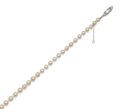 Lot 170 - A Single Row of Pearls and Diamond Clasp, by Van Cleef & Arpels, the seventy-three graduated...