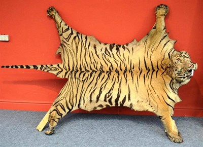 Lot 372 - Tiger (Panthera tigris), circa 1910, skin rug with head mount, the head with fierce open jaw...