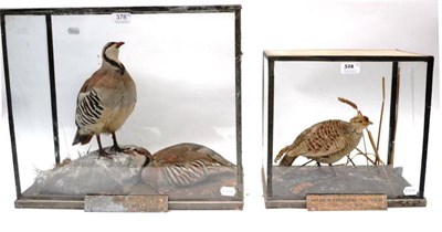 Lot 378 - Grey Partridge (Ortygornis ponticeriana), Sangi, Sind, December 25th 1892, by Rowland Ward,...