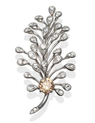 Lot 197 - ~ A Diamond Set Brooch, in a spray form, with a peachy-brown coloured old cut diamond within...