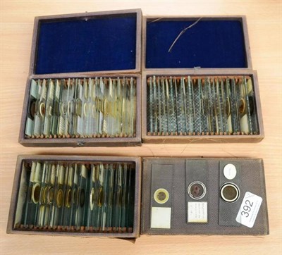 Lot 392 - A Collection of Seventy-Three Late 19th Century Prepared Biological Slides, the majority...