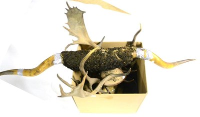 Lot 403 - A Collection of Thirteen Various Horns, Antlers and Slot, Victorian-1950's, including two...