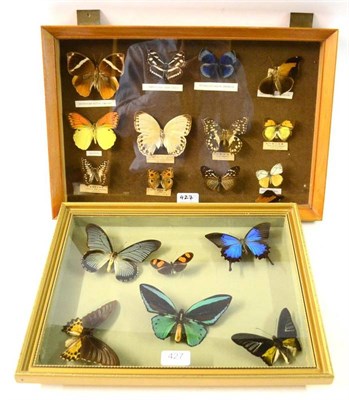 Lot 427 - Two Modern Glazed Wall Cases, containing eighteen specimens of tropical butterflies, including...