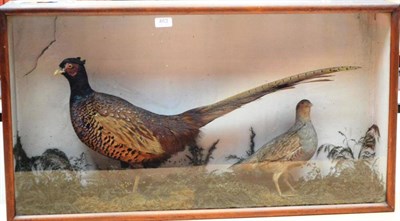 Lot 463 - Cock Pheasant, circa 1920, full mount, walking amongst grasses and moss, flanked by a Partridge, in