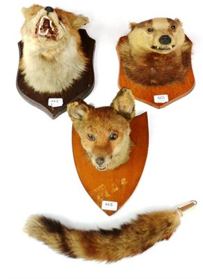 Lot 465 - Fox Mask, circa 1890, on shield; Another, circa 1950, with brush; and Badger Mask, circa 1935 (3)