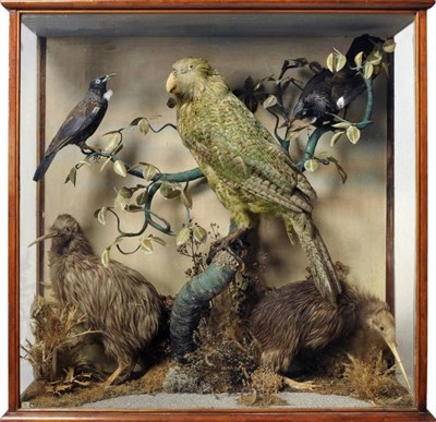 Lot 470 - A New Zealand Taxidermy Case of Rare Birds, circa 1910, comprising Kakapo (Strigops...