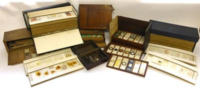 Lot 1022 - Prepared Microscope Slides a collection of numerous examples with handwritten/printed labels (qty)