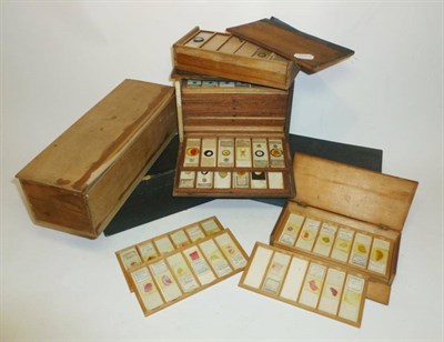 Lot 1025 - Six Boxes of Microscope Slides, including a box of physiology slides by John Smith & Son,...