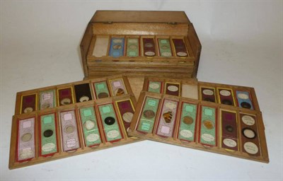 Lot 1028 - A Collection of Sixty Eight 19th Century Microscope Slides, many with decorative paper mounts,...