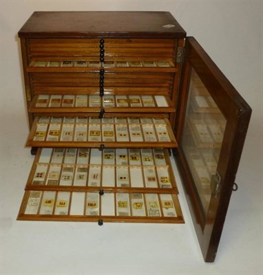 Lot 1030 - A Pine Microscope Slide Cabinet, containing twenty three drawers housing a collection of...