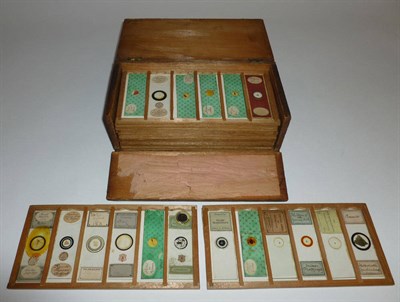 Lot 1022 - Sixty Early Microscope Slides, including many professionally prepared, makers include W.Watson...