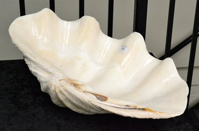 Lot 506 - Giant Clam (Tridacna gigas), circa 1930, one half shell, 50cm wide, 30cm deep