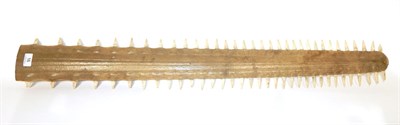 Lot 16 - Taxidermy: Large Sawfish Rostrum (Pristidae spp), circa late 19th century, 67 teeth, 109.5cm...