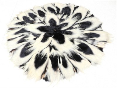 Lot 17 - Taxidermy: Colobus Monkey (Colobus guereza), circa 1960, circular skin rug made from...