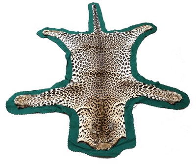 Lot 19 - Taxidermy: African Leopard (Panthera pardus) circa 1940, flat skin rug with limbs outstretched,...