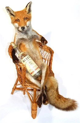 Lot 27 - Taxidermy: Anthropomorphic Red Fox (Vulpes vulpes), circa late 20th century, full mount in...