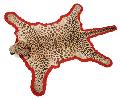 Lot 33 - Taxidermy: Indian Leopard Skin Rug (Panthera pardus), circa 04/10/1961, by Van Ingen & Van...