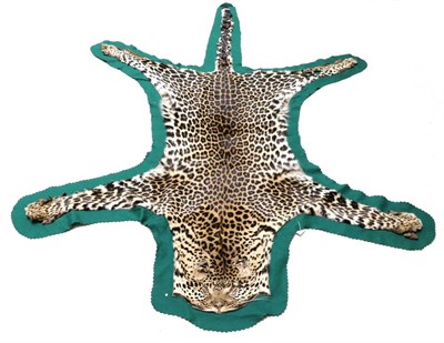 Lot 64 - Taxidermy: African Leopard (Panthera pardus) circa 1940, flat skin rug with limbs outstretched,...