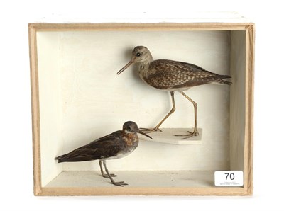 Lot 70 - Taxidermy: A Late Victorian Wood Sandpiper and a Red Necked Phalarope, in the manner of Joseph...