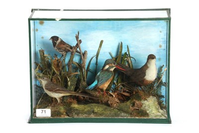 Lot 71 - Taxidermy: A Collection of British Birds, circa 1920, by D.Garside of Torquay, to include - a...