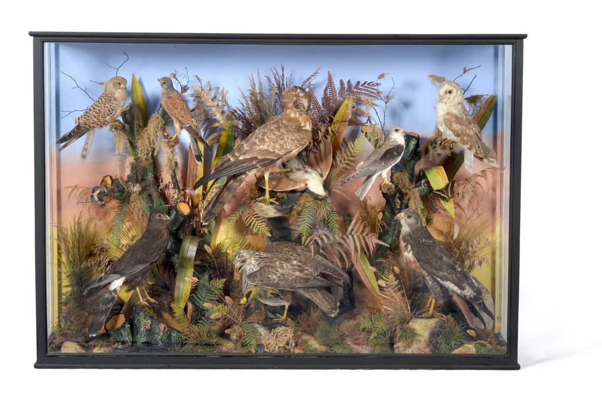 Lot 74 - Taxidermy: A Rare Large Cased Diorama of Birds of Prey Endemic to Africa, circa 1865-1880, by...