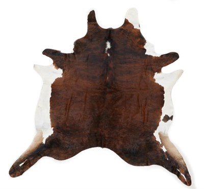 Lot 83 - Taxidermy: Brahma Bull Hide (Bos taurus indicus), modern, an excellent quality brown black and...