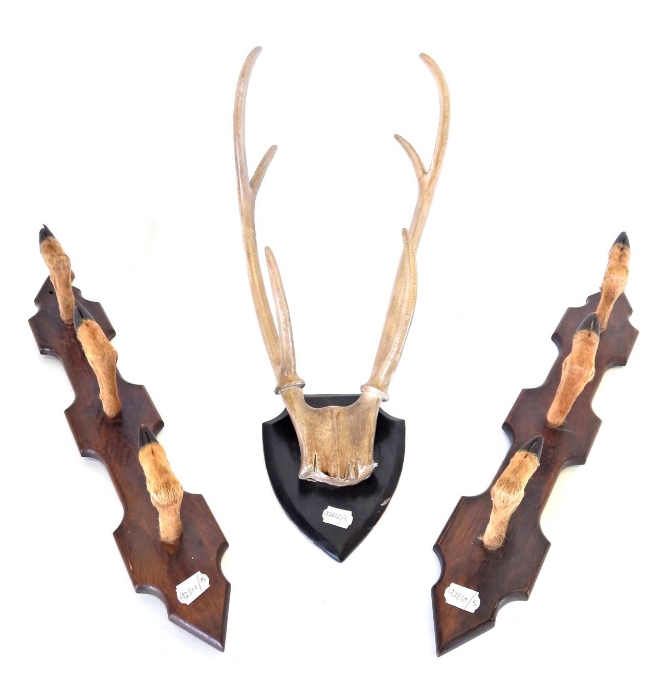 Lot 97 Antlers/Antlers Roe Deer Gun Rack, a pair of