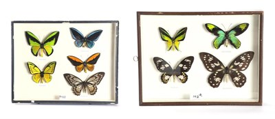 Lot 102 - Entomology: A Collection of Birdwing Butterflies, circa mid-late 20th century, five Birdwing...