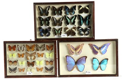 Lot 104 - Entomology: A Collection of Asian & African Butterflies, circa mid-late 20th century, including two