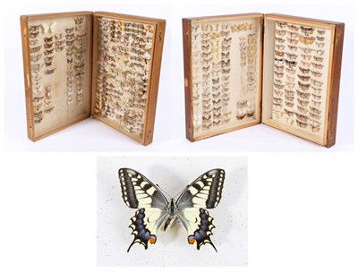 Lot 105 - Entomology: A Collection of British & French Moths, circa mid-late 20th century, approximately...