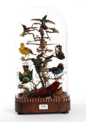 Lot 216 - Taxidermy: A Late Victorian Display of Ten Tropical Birds, circa 1880, to include: a Scarlet...