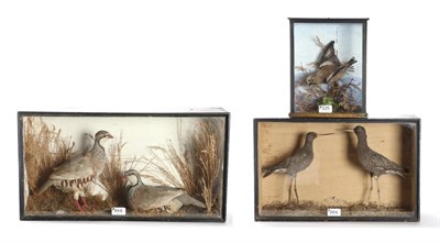 Lot 225 - Taxidermy: A Victorian Cased Pair of Juvenile Spotted Redshank, a pair of full mounts facing...