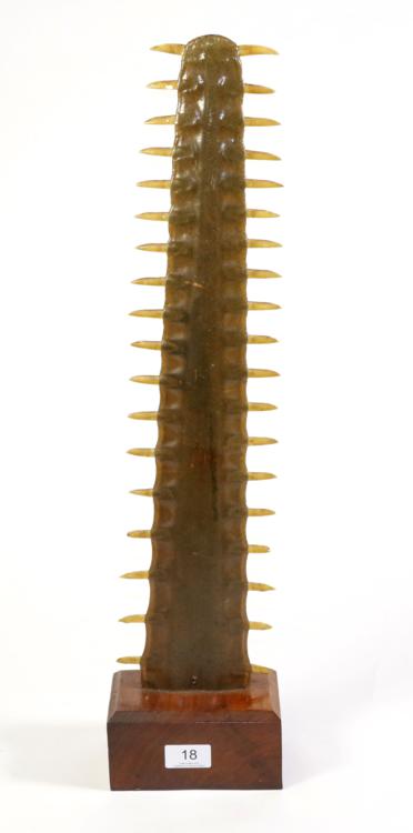 Lot 18 - Taxidermy: Sawfish Rostrum (Pristidae spp), circa late 19th century, 37 teeth, 54cm long,...