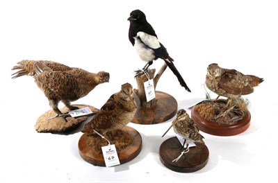 Lot 67 - Taxidermy: A Collection of British Game and Country Birds, circa late 20th century, to include...