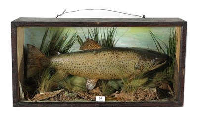 Lot 84 - Taxidermy: A Victorian Brown Trout (Salmo trutta), preserved and mounted within a natural river bed