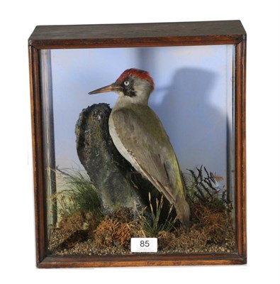 Lot 85 - Taxidermy: A Cased Green Woodpecker (Picus viridis), circa early 20th century, female full...