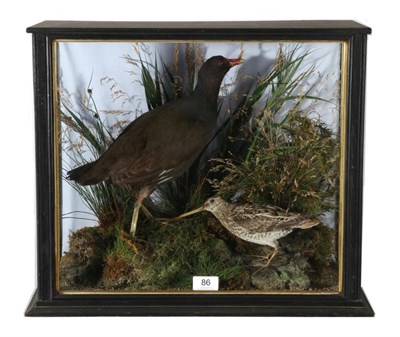 Lot 86 - Taxidermy: A Late Victorian Cased Common Moorhen & Snipe, circa 1880, by Edward Allen,...