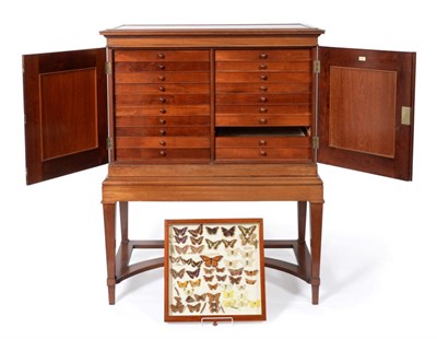 Lot 89 - Entomology: A Fine Quality Entomology Collectors Cabinet by Janson & Son, Naturalists,...