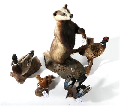 Lot 112 - Taxidermy: A Collection of Countryside Animals and Birds, circa late 20th century, to include-...