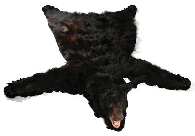 Lot 116 - Taxidermy: North American Black Bear (Ursus americanus), circa 2005, skin rug with head mount...