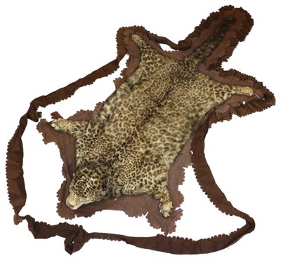 Lot 128 - Taxidermy: Leopard Skin, (Panthera pardus), Circa 1890, skin rug with head mount, backed onto brown