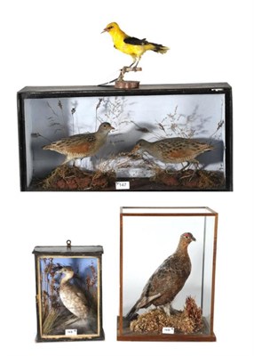 Lot 147 - Taxidermy: A Victorian Cased pair of Corncrake (Crex crex), a pair of full mounts both stood...