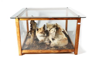 Lot 151 - Taxidermy: Family of Foxes (Vulpes vulpes), circa 1981, by Emily Mayer Taxidermy, Diss,...