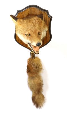 Lot 183 - Taxidermy: Red Fox Mask (Vulpes vulpes), circa late 20th century, by Jack Crewdson, Darwen,...