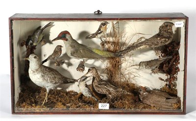 Lot 227 - Taxidermy: A Victorian Collection of British Birds, circa 1880, to include- Juvenile Cuckoo,...