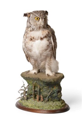 Lot 233 - Taxidermy: North American Great Horned Owl, (Bubo virginianus), circa August 1989, by Slater...